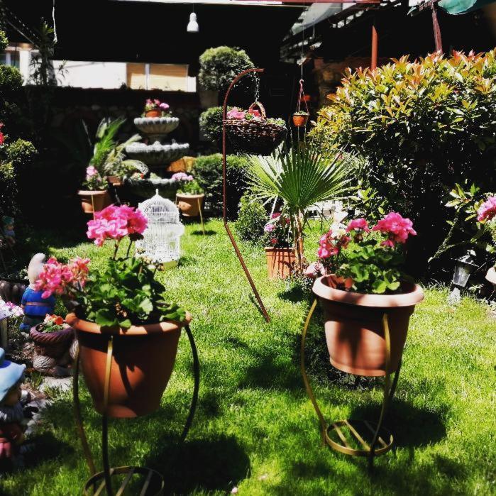 Gala-Garden Hotel Bitola Luaran gambar